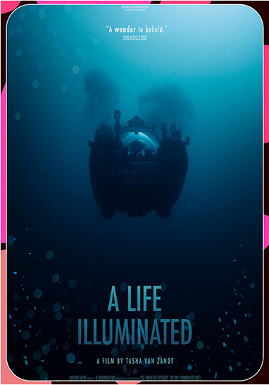 A Life Illuminated