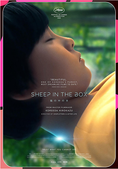 Sheep in the Box